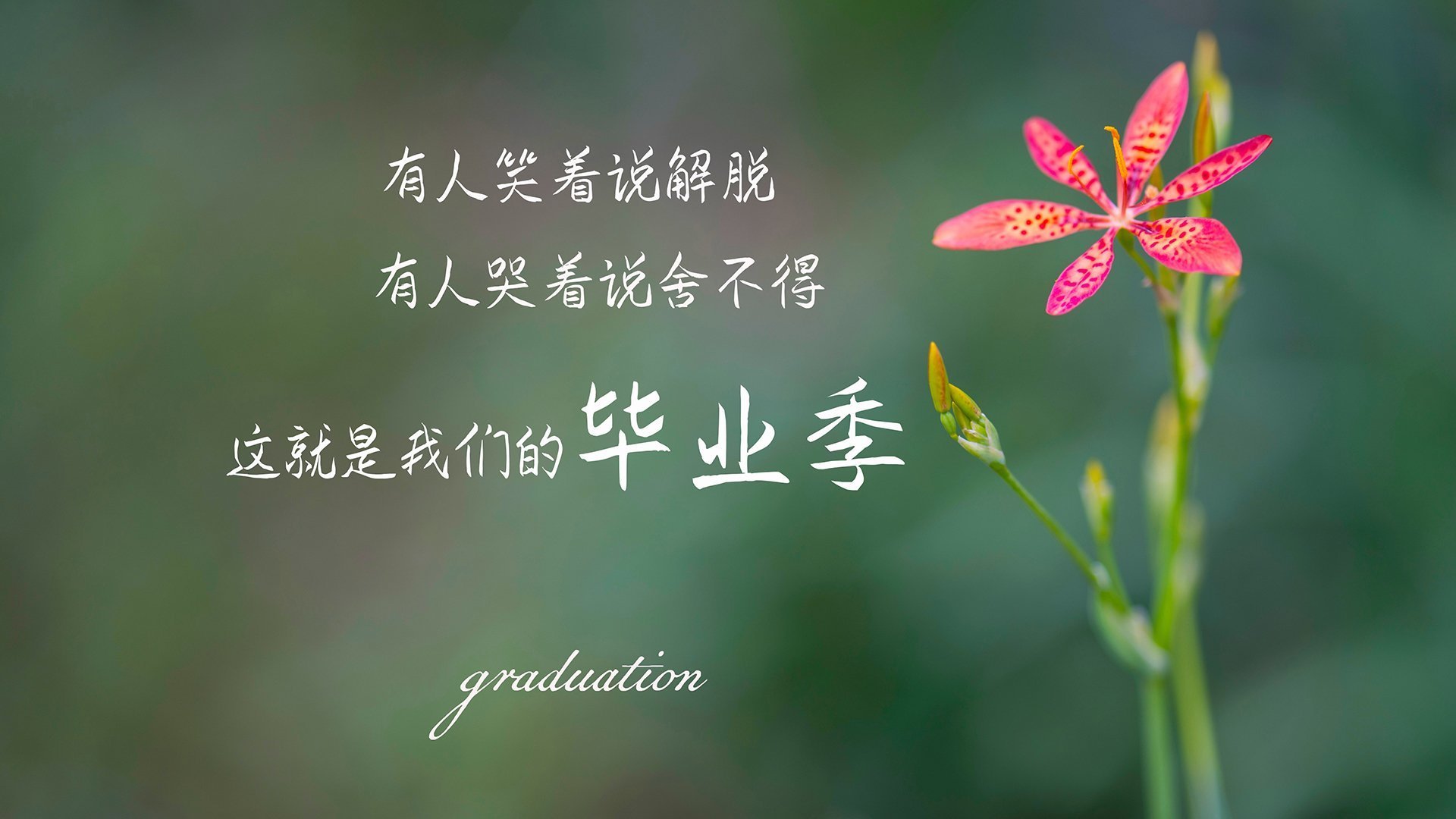挖掘机租赁合同协议书怎么写（挖掘机租赁合同协议书怎么写才有效）